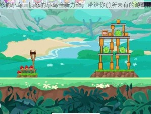 风怒的小鸟：愤怒的小鸟全新力作，带给你前所未有的游戏体验