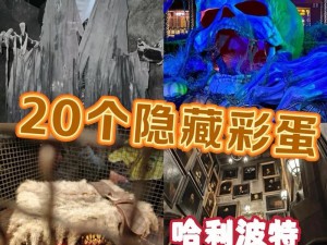 哈利波特魔法觉醒城堡彩蛋揭秘：全面汇总隐藏元素与惊喜揭秘