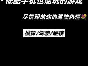 开车视频有声音超疼 APP，让你体验刺激与疼痛的完美结合