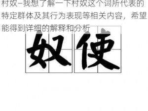 村奴—我想了解一下村奴这个词所代表的特定群体及其行为表现等相关内容，希望能得到详细的解释和分析