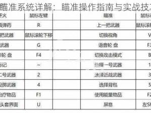 生死2瞄准系统详解：瞄准操作指南与实战技巧分享