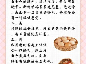 不要塞了已经 20 个鸡蛋了优质鸡蛋，新鲜营养，口感鲜美，快来选购