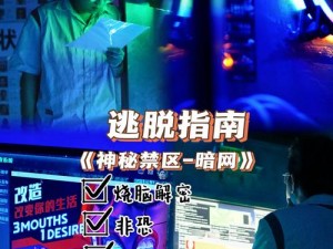 全面通缉好玩吗？——探究全面通缉游戏的魅力与挑战