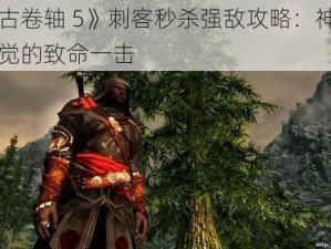 《上古卷轴 5》刺客秒杀强敌攻略：神不知鬼不觉的致命一击