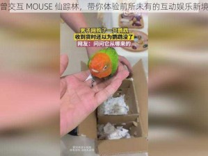 人曾交互 MOUSE 仙踪林，带你体验前所未有的互动娱乐新境界