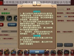 太极熊猫2新手攻略大全：玩转游戏的关键秘诀与指南