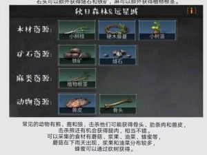 明日之后木栅栏设置攻略：详解栅栏放置方法与步骤