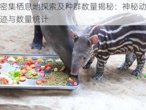 食梦貘密集栖息地探索及种群数量揭秘：神秘动物食梦貘的踪迹与数量统计