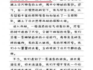 在《魔林谜踪》战斗中，石头的妙用及心得分享