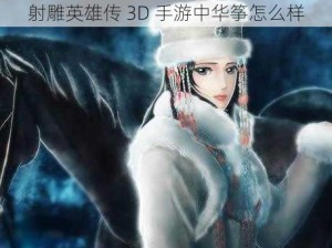 射雕英雄传 3D 手游中华筝怎么样