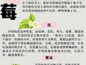 宝宝你下面要吃草莓吗？为什么宝宝下面要吃草莓呢？如何挑选新鲜的草莓？宝宝吃草莓有什么好处呢？