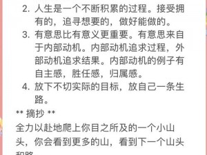 无畏设置中文，打破语言障碍，探索未知世界