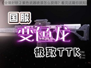 《全境封锁 2 紫色武器喷漆怎么获得？看完这篇你就知道》