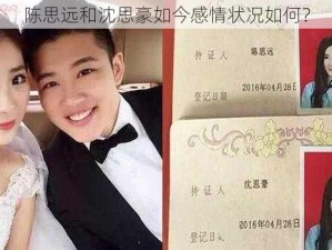 陈思远和沈思豪如今感情状况如何？