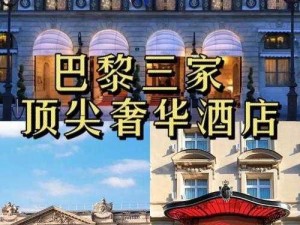 法国酒店服务生2023版,法国酒店服务生2023 版：详细介绍及特色服务有哪些？