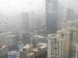 为什么那天的云交雨合肥龙根的春天会如此特别？