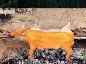 烤乳猪技艺大解析：技能属性深度解读与玩法伤害全面概览