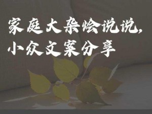 家庭大杂烩经典说说大全儿——美食与情感的完美融合