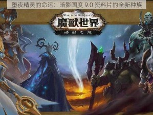 堕夜精灵的命运：暗影国度 9.0 资料片的全新种族