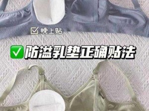 整夜堵着 3ph 系统——使用方便的新一代防溢乳贴