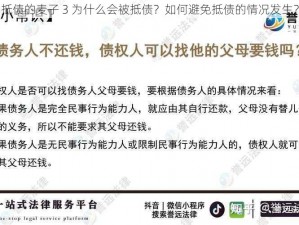 抵债的麦子 3 为什么会被抵债？如何避免抵债的情况发生？