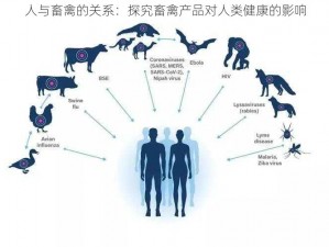 人与畜禽的关系：探究畜禽产品对人类健康的影响