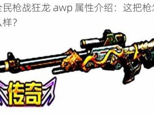 全民枪战狂龙 awp 属性介绍：这把枪怎么样？