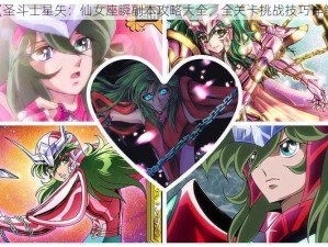 《圣斗士星矢：仙女座瞬副本攻略大全，全关卡挑战技巧详解》