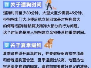 大学生遛狗攻略分享：如何在校园里轻松