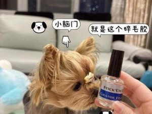 狗狗和人胶配方大全高清，含各种材质、颜色和用途的胶，让你的宠物玩具更有趣