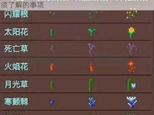 泰拉瑞亚植被种植全攻略：基础知识与技巧你必须了解的事项