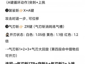 《讨鬼传》太刀达人攻略：实用技巧分享