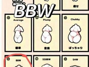 探索 BBWBBWBBW 白雪身体乳，给肌肤带来丝滑体验