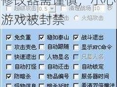 阿玛拉王国使用装备修改器需谨慎，小心游戏被封禁