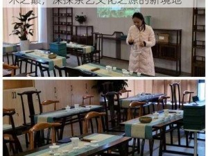 SH：茶道等级60级研习精髓 探究制茶艺术之巅，深探茶艺文化之源的新境地