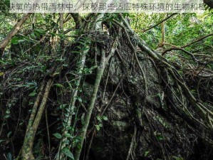 在缺氧的热带雨林中，探秘那些适应特殊环境的生物和植物