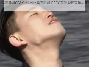 亚洲小鲜肉帅哥GARY—亚洲小鲜肉帅哥 GARY 有哪些代表作品和特点呢？