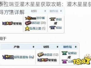 泰拉瑞亚灌木星星获取攻略：灌木星星获得方法详解
