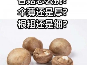 蘑菇头大好还是根部大好？怎样判断蘑菇的好坏？