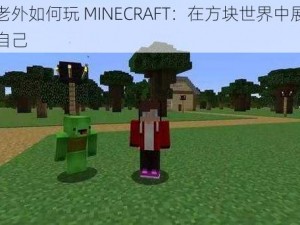 暴躁老外如何玩 MINECRAFT：在方块世界中展现真实的自己