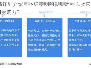 红粉网 请详细介绍一下红粉网的发展历程以及它在行业内的地位和影响力？