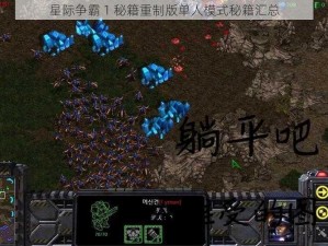 星际争霸 1 秘籍重制版单人模式秘籍汇总