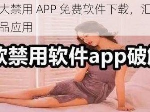 夜里十大禁用 APP 免费软件下载，汇聚各类热门精品应用