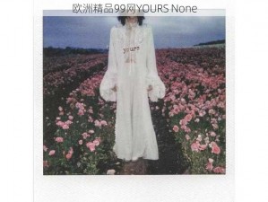 欧洲精品99网YOURS None