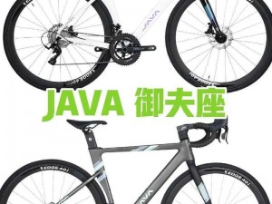 一款适用于中国市场的 JAVaparserHD 产品