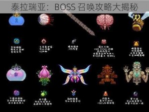 泰拉瑞亚：BOSS 召唤攻略大揭秘