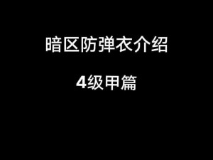 暗区突围全面解析：安保衣的实用性及使用攻略