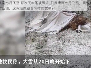 甘肃肃南七月飞雪 有牧民帐篷被压塌_甘肃肃南七月飞雪，竟致有牧民帐篷被压塌，这背后隐藏着怎样的故事？