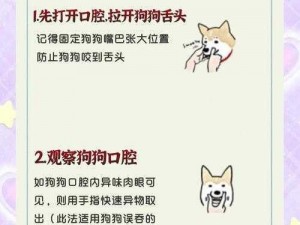 狗狗卡住了怎么办-狗狗不小心被卡住了，这时候应该怎么办呢？求详细步骤及注意事项