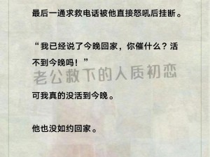 初恋夫妇 130615 为何如此受欢迎？他们的爱情故事有何秘诀？